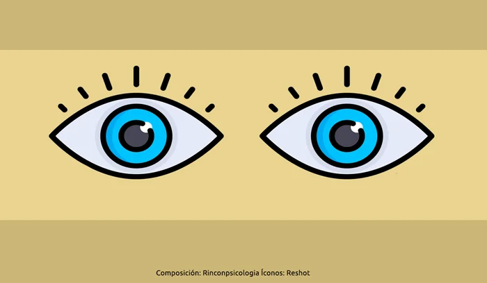 Diseñar un sitio web con eye-tracking